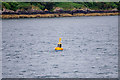 NH8068 : Marker Buoy in Cromarty Firth by David Dixon