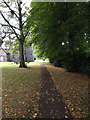 Bridleway to Wickham Road