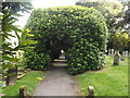 Avenue of bushes inside cemetery