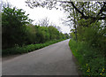 Narrow Lane towards Six Hills from Egmont Farm entrance