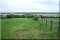 Grazing, Marchington