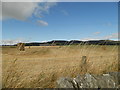 Field at Templelands