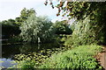 Beverley Beck, Beverley