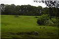 Hillside above Felixkirk