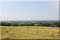 SJ8558 : View from the South Cheshire Way by Jeff Buck