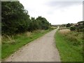 Path beside Parkmanor Avenue