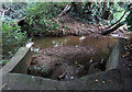 Flood relief basin outflow to Bushby Brook