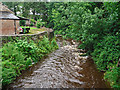NY5541 : The Raven Beck at Kirkoswald by Rose and Trev Clough