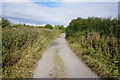 Bridleway towards England Springs Crossing