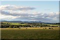 NJ6907 : Countryside at Midmar, Aberdeenshire by Andrew Tryon