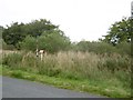 Pipeline markers, Clunch Road