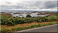 Strangford Lough