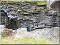 NO0689 : Potholes in the gorge at Linn of Dee by Oliver Dixon