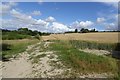 Chalky fields of Totterdown Hill