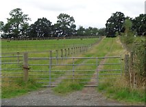 SO8870 : Gated track near Rushock, Worcestershire by Jeff Gogarty