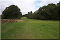 Beverley 20 towards Walkington Plantation