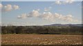 Stubble, Norton Hayes Farm