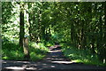 Footpath on former railway trackbed near Thornhill