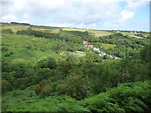SC4285 : Laxey Glen from the Snaefell Mountain Railway [1] by Christine Johnstone