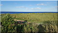 Dunes to the north of Seaton Sluice