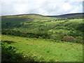 SC4285 : Laxey Glen from the Snaefell Mountain Railway [5] by Christine Johnstone