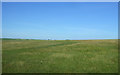 ND2157 : Grassland near Loch Watten by JThomas