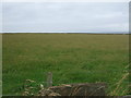 ND2373 : Grassland near Ham by JThomas