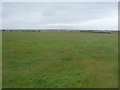 Grassland north of the A836