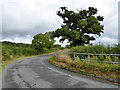 Bend with railings and an oak