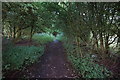 Disused railway line towards  Market Weighton