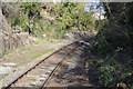 Tamar Valley line at Calstock