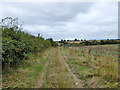 Track to Denton Barn