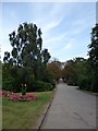 Celebrating the City of London Cemetery (186)  