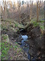 Chopwell Wood: Culvert Bridge