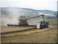 Harvesting wheat at Ratcheugh