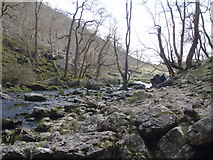 SD8964 : Malham Beck flowing away from the Cove by Johnny Coop