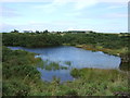 Pond near Inkstack House