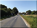 TM0990 : Entering New Buckenham on the B1113 Norwich Road by Geographer