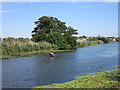 SX9588 : Canal User near Topsham by Des Blenkinsopp
