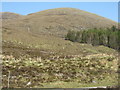 NH2376 : A corner of Loch Droma Plantation by M J Richardson