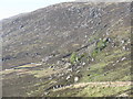 NH2276 : Rocky hillside with sheepfold by M J Richardson