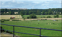 NT1072 : Farmland at Chesterlaw by Thomas Nugent