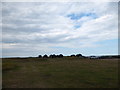 Distant beach huts at Winterton