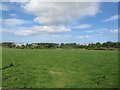 Grass field east of Littlehoughton