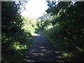 Bridleway between housing estates, Monkseaton