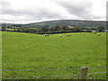 Barravey Townland