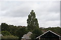 View of houses on the hill from Hythe station on the Romney, Hythe & Dymchurch Railway