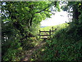 Llwybr ger Ffarm Fernhill / Path near Fernhill Farm