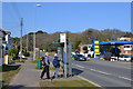 Walkers looking up bus times, Exeter Road, Dawlish