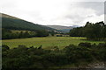 Green fields at Auch, viewed from the West Highland Way